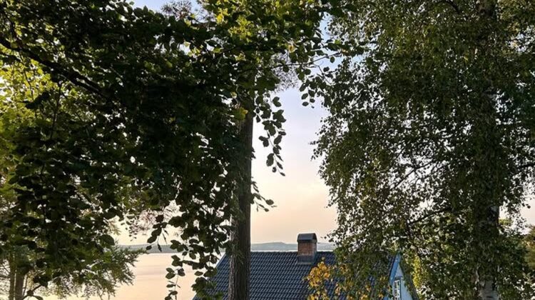 The Home Tours That Stole Your Hearts in 2025