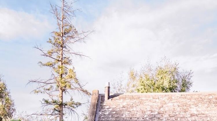 From Stable to Sanctuary in Tasmania