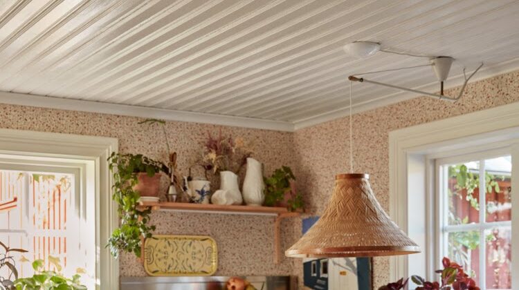 Where Time, Books and Light Meet